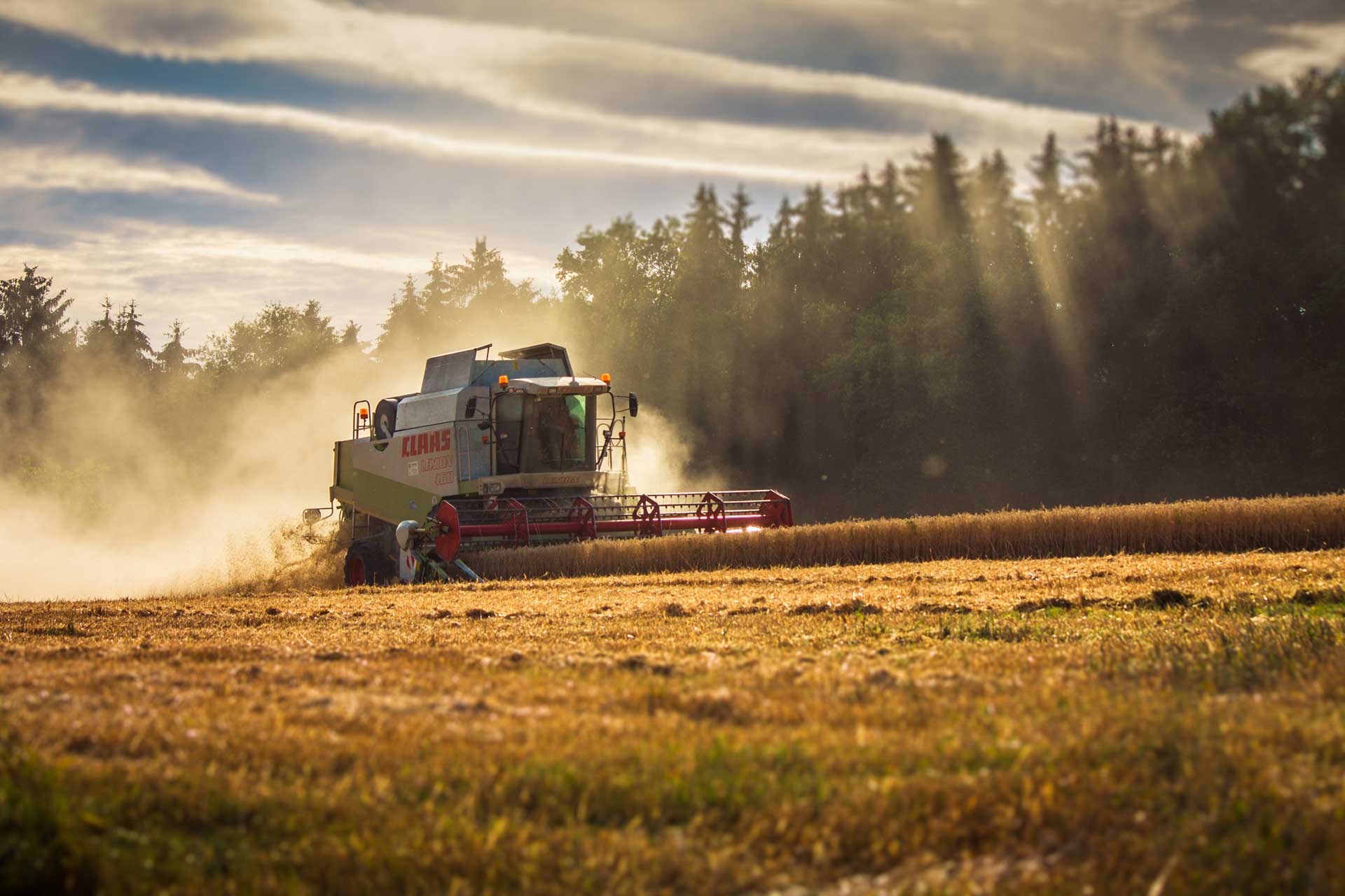Harvesting